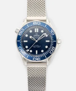 Omega Seamaster Diver 300m Co‑Axial Master Chronometer 42mm 210.30.42.20.03.002